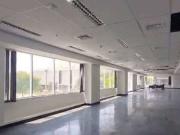 Conj. Comercial / Sala para Locação em Barueri/SP...