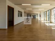 Conj. Comercial / Sala para Locação em Belo Horizonte/MG...