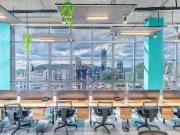Conj. Comercial / Sala para Locação em Blumenau/SC Centro