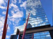 Conj. Comercial / Sala para Locação em Campinas/SP Cambuí