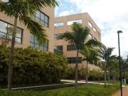 Conj. Comercial / Sala para Locação em Campinas/SP...