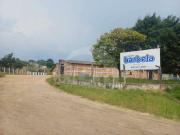 Conj. Comercial / Sala para Locação em Ponta Grossa/PR...