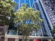 Conj. Comercial / Sala para Locação em Rio de Janeiro/RJ...