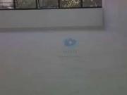 Conj. Comercial / Sala para Locação em São Paulo/SP Bela...