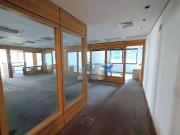 Conj. Comercial / Sala para Locação em São Paulo/SP Bela...