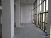 Conj. Comercial / Sala para Locação em São Paulo/SP...