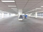 Conj. Comercial / Sala para Locação em São Paulo/SP...