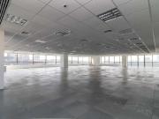 Conj. Comercial / Sala para Locação em São Paulo/SP...