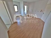 Conj. Comercial / Sala para Locação em São Paulo/SP Santana