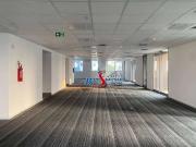 Conj. Comercial / Sala para Locação em São Paulo/SP Tatuapé