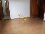 Conj. Comercial / Sala para Locação em São Paulo/SP Tatuapé