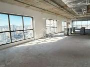 Conj. Comercial / Sala para Locação em São Paulo/SP Vila...