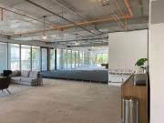 Conj. Comercial / Sala para Locação em São Paulo/SP Vila...