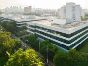 Conj. Comercial / Sala para Locação em São Paulo/SP Vila...