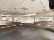 Conj. Comercial / Sala para Locação em São Paulo/SP Vila...