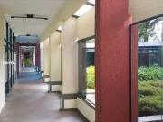 Conj. Comercial / Sala para Locação em São Paulo/SP Vila...