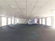 Conj. Comercial / Sala para Locação em São Paulo/SP Vila...