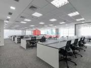 Conj. Comercial / Sala para Locação em São Paulo/SP Vila...