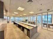 Conj. Comercial / Sala para Locação em São Paulo/SP Vila...