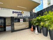 Conj. Comercial / Sala para Locação em Salvador/BA Pituba