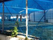 Conj. Comercial / Sala para Venda em Campinas/SP Jardim...