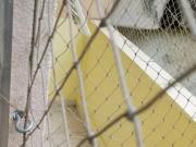 Conjugado para LocaÃ§Ã£o em Rio de Janeiro, Santa...