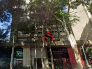 Conjunto, 201 mÂ² venda por R$ 5.350.000,00 ou aluguel...