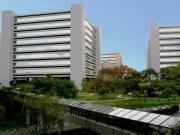 Conjunto comercial para aluguel, 10 vagas, jardim sao...