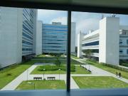 Conjunto Comercial para aluguel 1124m2 em Santo...