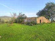 Conjunto de 6 Terrenos com 16.700 m² e Ruína...