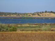 CONJUNTO DE MORADIAS COM TERRENO DE 22.5 HA PRÓXIMO DA...