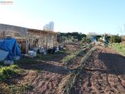 Conjunto de parcelas en Canet de Berenguer zona gasolinera