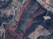 Conjunto de Terrenos Rústicos, Almodôvar, São Barnabé,...