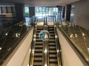 Conjunto para alugar, 1944 m² Chácara Santo Antônio São...