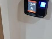 Conjunto para alugar, 233 m² Pinheiros São Paulo/SP