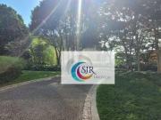 Conjunto para alugar, 921 mÂ² Brooklin SÃ£o Paulo/SP