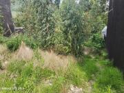 Construye la casa de tus sueños en Lago Esmeralda