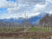 Construye Tu Hogar en Huelquén: Oportunidad Única Construye Tu Hogar en Huelquén: Oportunidad Única