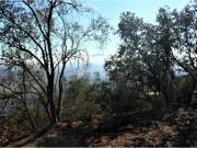 Construye tu Sueño en Condominio 6.000 mt2