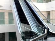 Consultorio en Renta en Jardines de San Manuel Plaza...