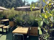 Consultorio en Renta en Roma Sur