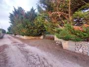 Contrada Maccallè 7730mq