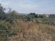 CONTRADA MANGIONE snc 10000mq