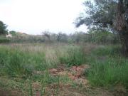 CONTRADA SAN GIORGIO 925mq