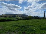 CONUNTO DE PARCELAS EN LAMADRID