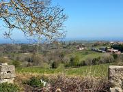 CONUNTO DE PARCELAS EN LAMADRID