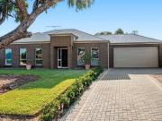 Convenient, Comfortable & Cleverly Designed