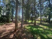 Convenient Location & Endless Potential on 683m²