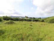 Cooleycasey, Sixmilebridge, Clare