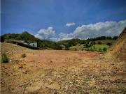 Venta Lote Licencia + Estudios Parcelacion Imponente...